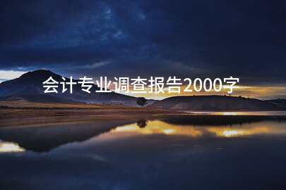 会计专业调查报告2000字