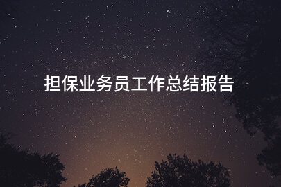 担保业务员工作总结报告