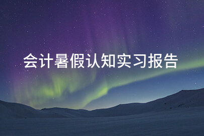 会计暑假认知实习报告
