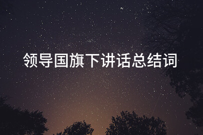 领导国旗下讲话总结词