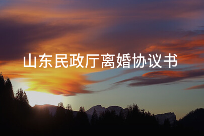 山东民政厅离婚协议书