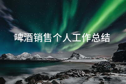 啤酒销售个人工作总结