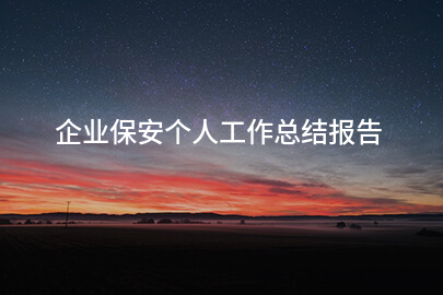 企业保安个人工作总结报告
