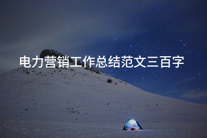 电力营销工作总结范文三百字