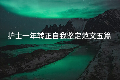 护士一年转正自我鉴定范文五篇
