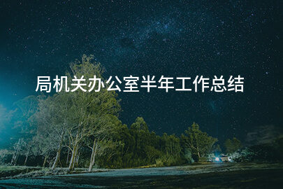 局机关办公室半年工作总结