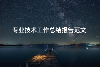 专业技术工作总结报告范文