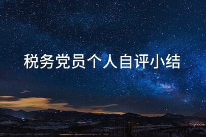税务党员个人自评小结