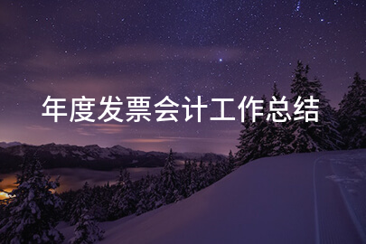年度发票会计工作总结