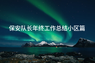 保安队长年终工作总结小区篇
