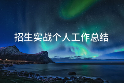 招生实战个人工作总结