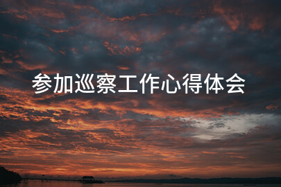 參加巡察工作心得體會(huì)