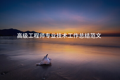 高级工程师专业技术工作总结范文