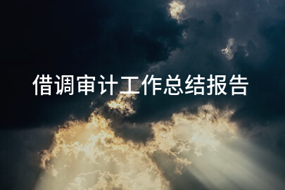 借调审计工作总结报告