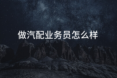 做汽配业务员怎么样