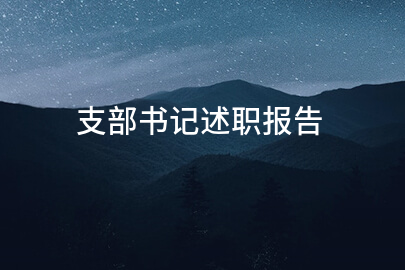 支部书记述职报告