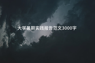 大学暑期实践报告范文3000字