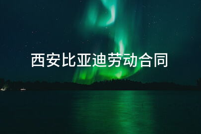 西安比亚迪劳动合同