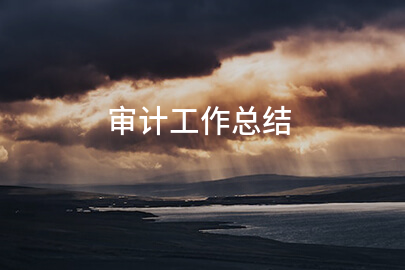 审计工作总结