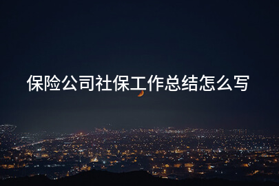 保险公司社保工作总结怎么写