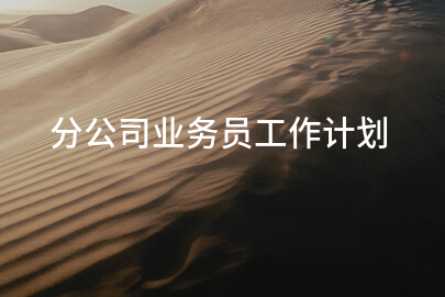 分公司业务员工作计划