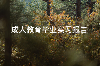 成人教育毕业实习报告