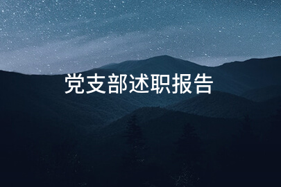 党支部述职报告