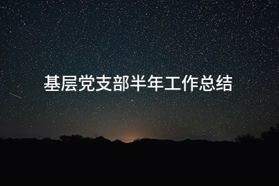 基层党支部半年工作总结