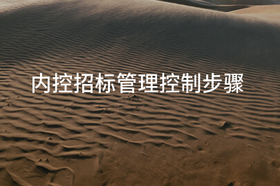 内控招标管理控制步骤