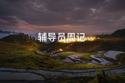 辅导员周记