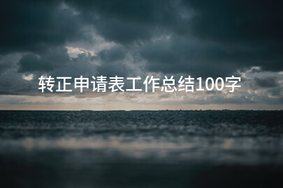 转正申请表工作总结100字