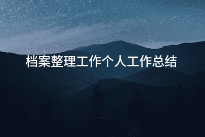 档案整理工作个人工作总结