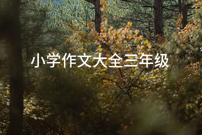 小学作文大全三年级