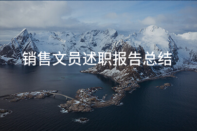 销售文员述职报告总结