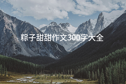 粽子甜甜作文300字大全