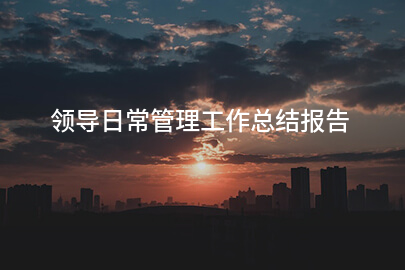 领导日常管理工作总结报告