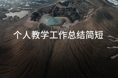 个人教学工作总结简短