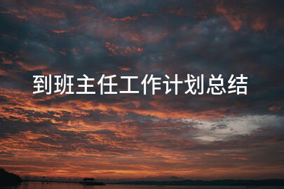 到班主任工作计划总结
