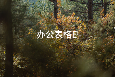 办公表格E