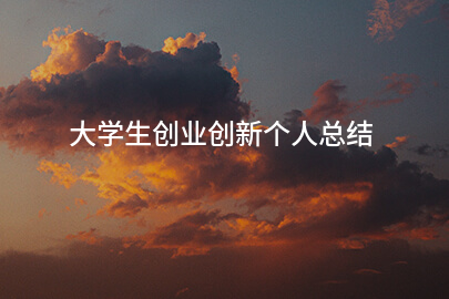 大学生创业创新个人总结