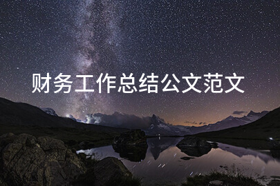 财务工作总结公文范文