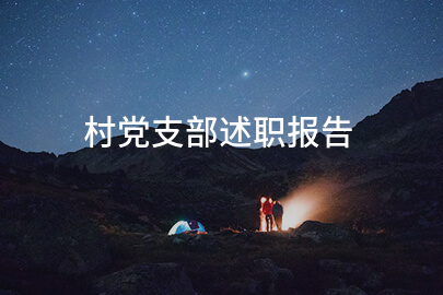 村党支部述职报告