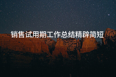 销售试用期工作总结精辟简短