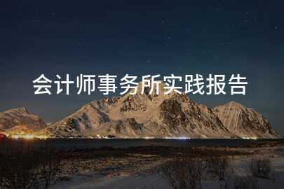 会计师事务所实践报告