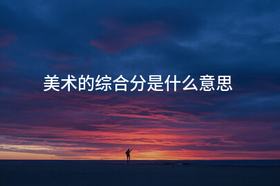美术的综合分是什么意思