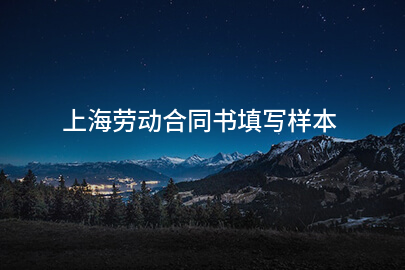 上海劳动合同书填写样本