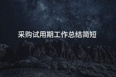 采购试用期工作总结简短