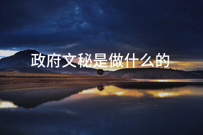 政府文秘是做什么的