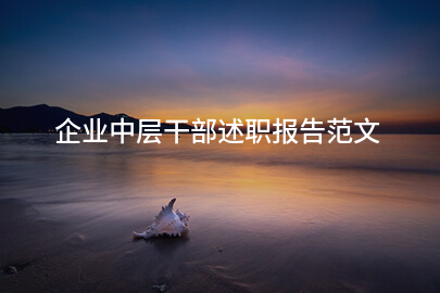 企业中层干部述职报告范文