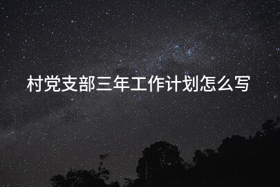 村党支部三年工作计划怎么写